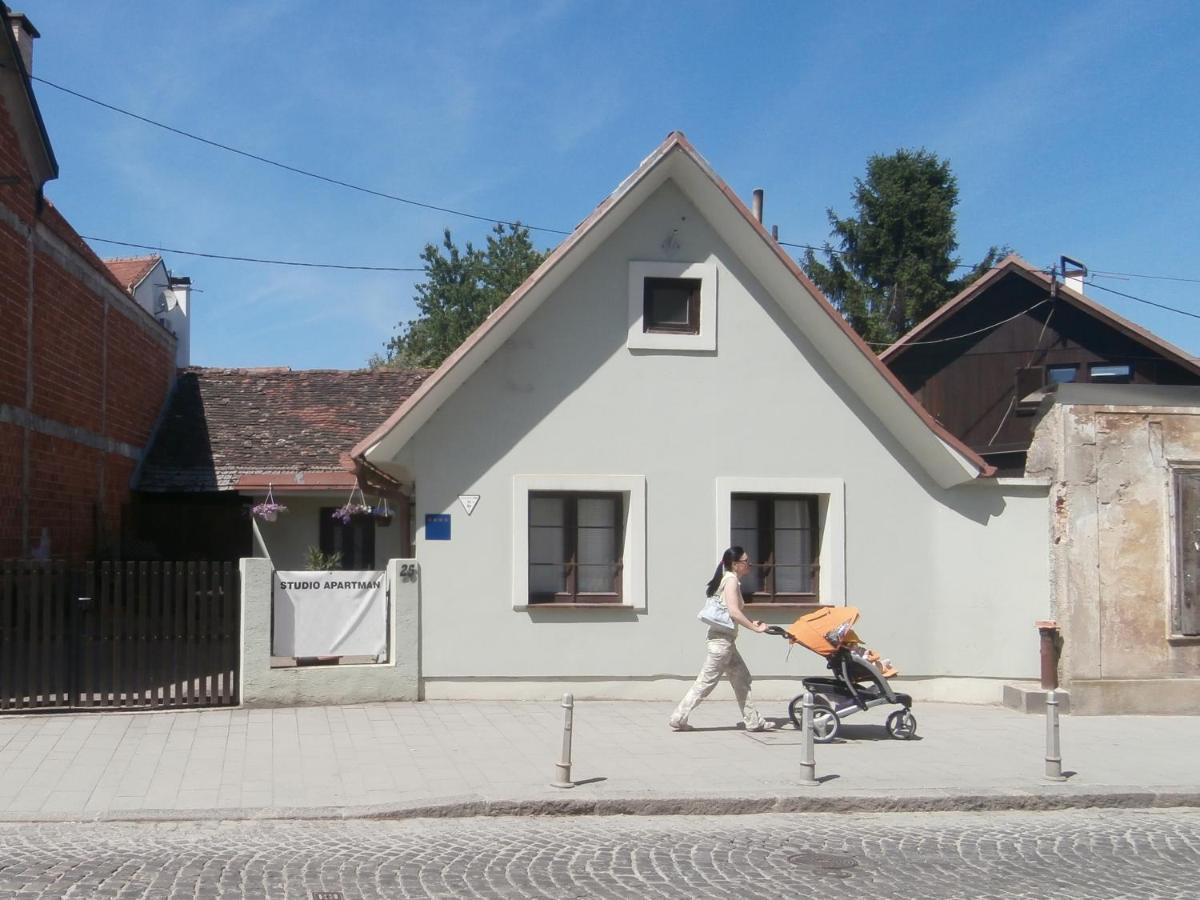 Apartments With A Parking Space Samobor, Prigorje - 12869 Zewnętrze zdjęcie